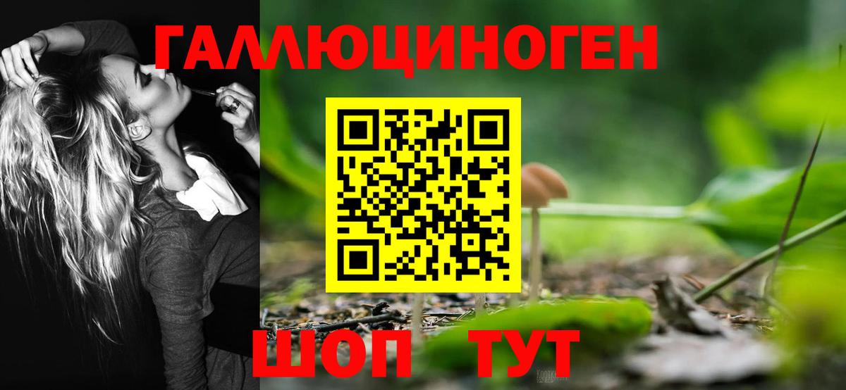 Псилоцибиновые грибы ЛСД  Галлюциногенные грибы Psilocybe  Вход с VPN  Азнакаево 